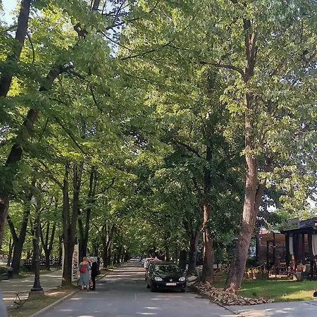 Vrnjacka Promenada - Pesacka Zona - Baby Friendly דירה *