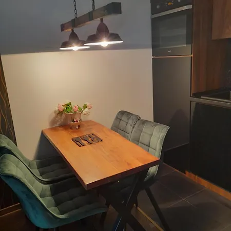 Vrnjacka Promenada - Pesacka Zona - Baby Friendly דירה Vrnjačka Banja