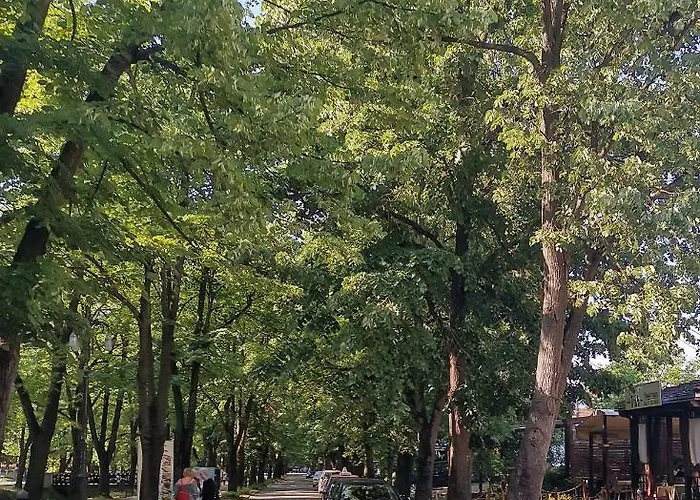 Vrnjacka Promenada - Pesacka Zona - Baby Friendly Daire *